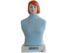 心肺触诊听诊电脑模拟器 革新医药教学的智能教具